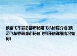 侠盗飞车罪恶都市秘籍飞机秘籍介绍(侠盗飞车罪恶都市秘籍飞机秘籍详细情况如何)