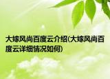 大嫁风尚百度云介绍(大嫁风尚百度云详细情况如何)