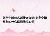 刘宇宁粉丝名叫什么介绍(刘宇宁粉丝名叫什么详细情况如何)