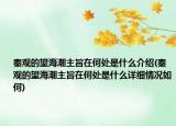 秦观的望海潮主旨在何处是什么介绍(秦观的望海潮主旨在何处是什么详细情况如何)
