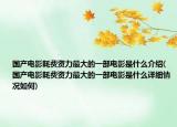 国产电影耗费资力最大的一部电影是什么介绍(国产电影耗费资力最大的一部电影是什么详细情况如何)