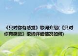 《只对你有感觉》歌词介绍(《只对你有感觉》歌词详细情况如何)