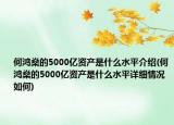 何鸿燊的5000亿资产是什么水平介绍(何鸿燊的5000亿资产是什么水平详细情况如何)