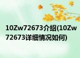 10Zw72673介绍(10Zw72673详细情况如何)