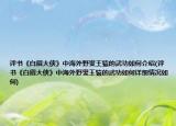 评书《白眉大侠》中海外野叟王猿的武功如何介绍(评书《白眉大侠》中海外野叟王猿的武功如何详细情况如何)