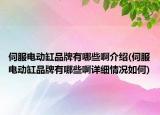 伺服电动缸品牌有哪些啊介绍(伺服电动缸品牌有哪些啊详细情况如何)