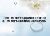 《终极一班》里的丁小雨真名叫什么介绍(《终极一班》里的丁小雨真名叫什么详细情况如何)