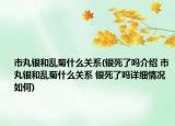 市丸银和乱菊什么关系(银死了吗介绍 市丸银和乱菊什么关系 银死了吗详细情况如何)