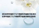 沥川往事中提到了几个网络写手是谁介绍(沥川往事中提到了几个网络写手是谁详细情况如何)