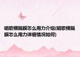 唱歌横隔膜怎么用力介绍(唱歌横隔膜怎么用力详细情况如何)