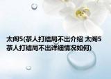 太阁5(茶人打结局不出介绍 太阁5 茶人打结局不出详细情况如何)