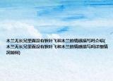 木兰无长兄里面没有狄叶飞和木兰的情感描写吗介绍(木兰无长兄里面没有狄叶飞和木兰的情感描写吗详细情况如何)