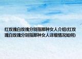 红玫瑰白玫瑰分别指那种女人介绍(红玫瑰白玫瑰分别指那种女人详细情况如何)