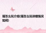 瑶怎么玩介绍(瑶怎么玩详细情况如何)
