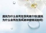 庞统为什么会死在落凤坡介绍(庞统为什么会死在落凤坡详细情况如何)