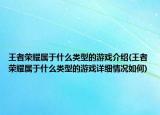 王者荣耀属于什么类型的游戏介绍(王者荣耀属于什么类型的游戏详细情况如何)
