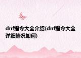 dnf指令大全介绍(dnf指令大全详细情况如何)