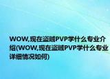 WOW,现在盗贼PVP学什么专业介绍(WOW,现在盗贼PVP学什么专业详细情况如何)