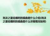 泡沫之夏结婚时的插曲是什么介绍(泡沫之夏结婚时的插曲是什么详细情况如何)