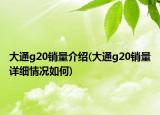 大通g20销量介绍(大通g20销量详细情况如何)