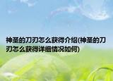 神圣的刀刃怎么获得介绍(神圣的刀刃怎么获得详细情况如何)