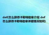 dnf(怎么获得卡勒特勋章介绍 dnf 怎么获得卡勒特勋章详细情况如何)