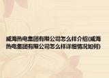 威海热电集团有限公司怎么样介绍(威海热电集团有限公司怎么样详细情况如何)