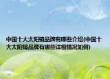 中国十大太阳镜品牌有哪些介绍(中国十大太阳镜品牌有哪些详细情况如何)
