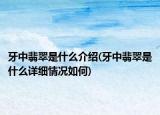 牙中翡翠是什么介绍(牙中翡翠是什么详细情况如何)
