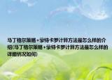 马丁格尔策略+蒙特卡罗计算方法是怎么样的介绍(马丁格尔策略+蒙特卡罗计算方法是怎么样的详细情况如何)