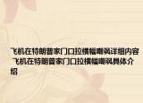 飞机在特朗普家门口拉横幅嘲讽详细内容 飞机在特朗普家门口拉横幅嘲讽具体介绍