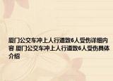 厦门公交车冲上人行道致6人受伤详细内容 厦门公交车冲上人行道致6人受伤具体介绍
