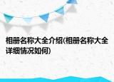 相册名称大全介绍(相册名称大全详细情况如何)