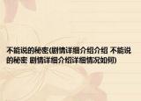 不能说的秘密(剧情详细介绍介绍 不能说的秘密 剧情详细介绍详细情况如何)