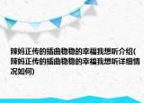 辣妈正传的插曲稳稳的幸福我想听介绍(辣妈正传的插曲稳稳的幸福我想听详细情况如何)