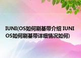 IUNI(OS如何刷基带介绍 IUNI OS如何刷基带详细情况如何)
