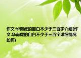 作文:华南虎的自白不少于三百字介绍(作文:华南虎的自白不少于三百字详细情况如何)