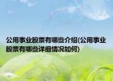 公用事业股票有哪些介绍(公用事业股票有哪些详细情况如何)