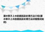 潜水泵不上水的原因及处理方法介绍(潜水泵不上水的原因及处理方法详细情况如何)