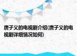 唐子义的电视剧介绍(唐子义的电视剧详细情况如何)