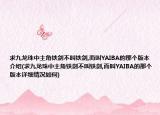求九龙珠中主角铁剑不叫铁剑,而叫YAIBA的那个版本介绍(求九龙珠中主角铁剑不叫铁剑,而叫YAIBA的那个版本详细情况如何)
