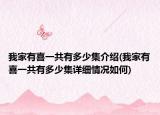 我家有喜一共有多少集介绍(我家有喜一共有多少集详细情况如何)