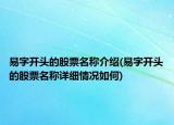 易字开头的股票名称介绍(易字开头的股票名称详细情况如何)