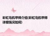 彩虹岛机甲师介绍(彩虹岛机甲师详细情况如何)