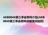 AKB0048第三季会有吗介绍(AKB0048第三季会有吗详细情况如何)