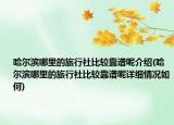哈尔滨哪里的旅行社比较靠谱呢介绍(哈尔滨哪里的旅行社比较靠谱呢详细情况如何)