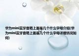 华为mini蓝牙音箱上面是几个什么字母介绍(华为mini蓝牙音箱上面是几个什么字母详细情况如何)