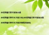 永恒梦魇打野天赋加点图|永恒梦魇打野符文天赋介绍(永恒梦魇打野天赋加点图|永恒梦魇打野符文天赋详细情况如何)