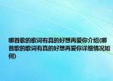 哪首歌的歌词有真的好想再爱你介绍(哪首歌的歌词有真的好想再爱你详细情况如何)