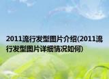 2011流行发型图片介绍(2011流行发型图片详细情况如何)